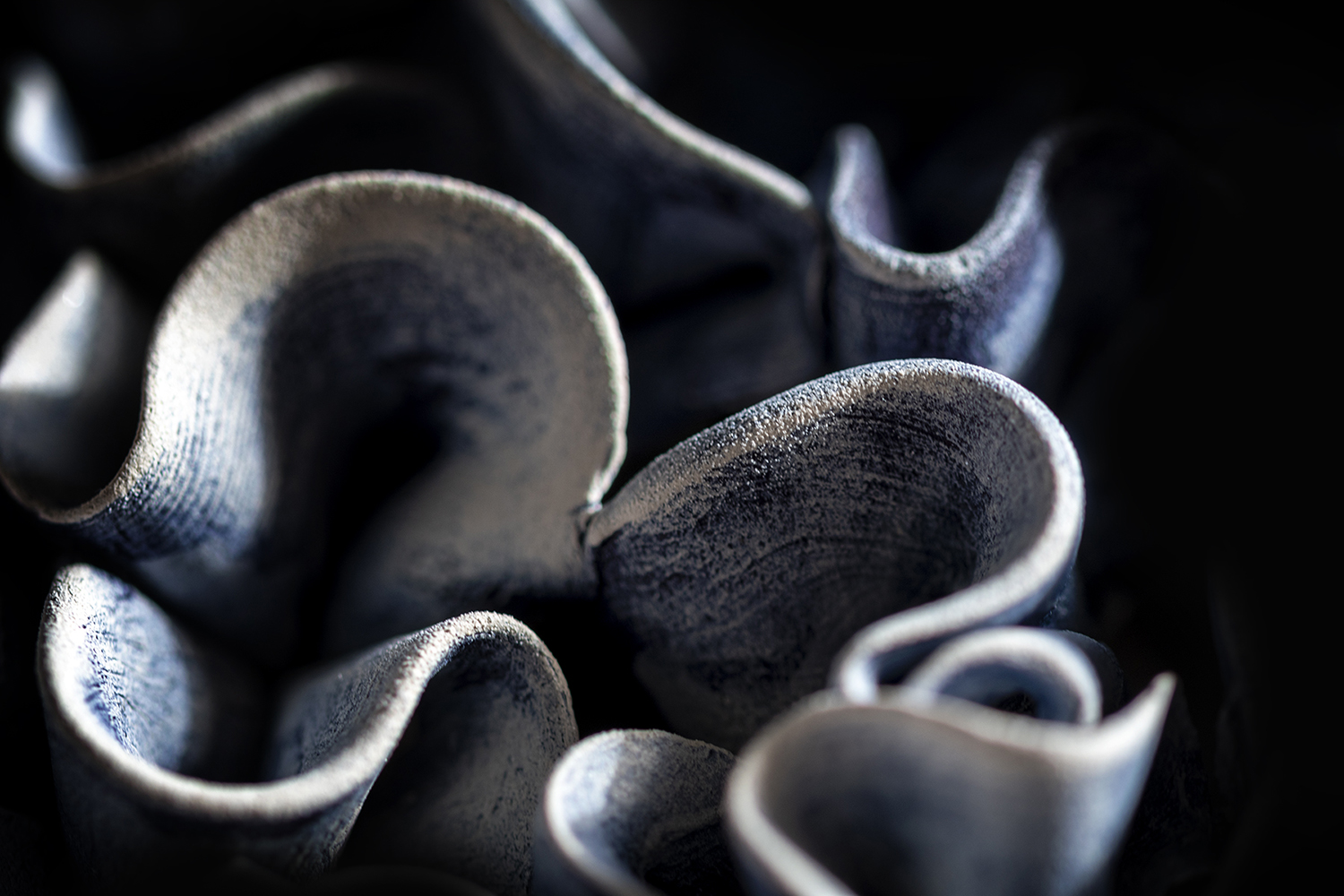 Photographie par Aurélie Rivière, photographe professionnelle à l'Ile de la Réunion