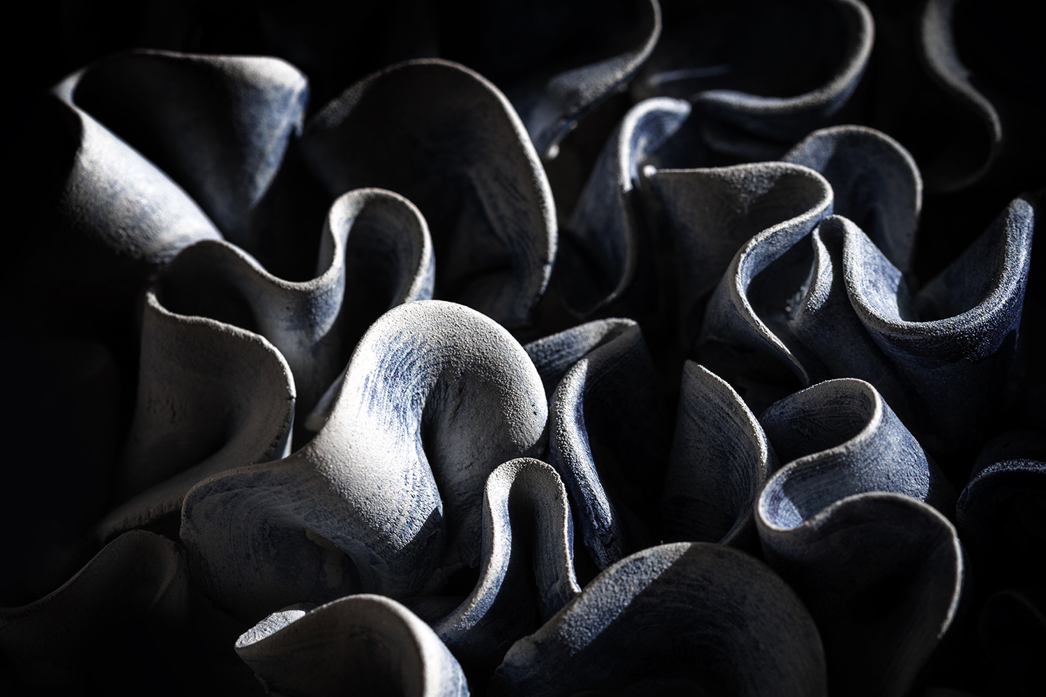 Photographie par Aurélie Rivière, photographe professionnelle à l'Ile de la Réunion