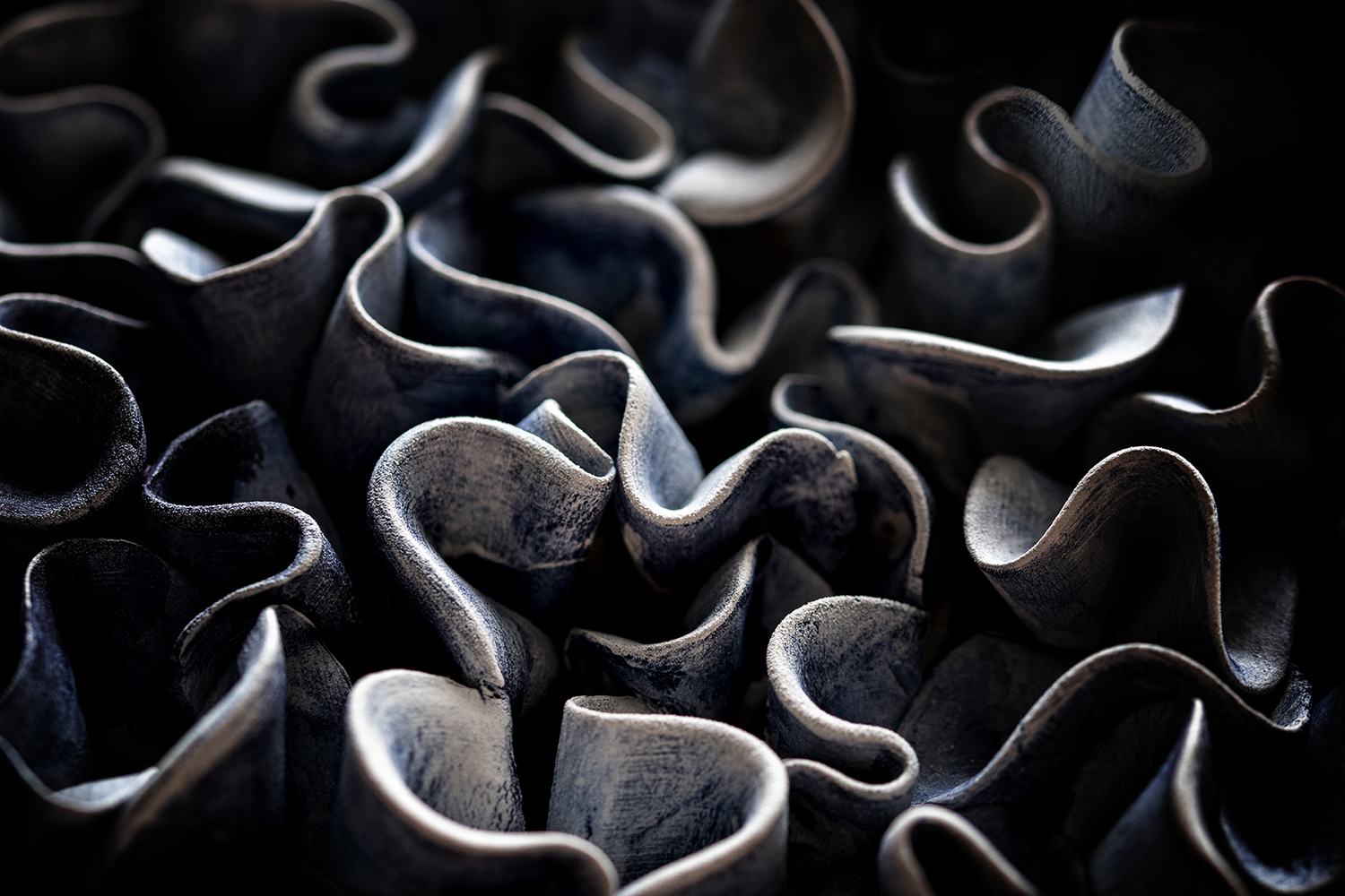 Photographie par Aurélie Rivière, photographe professionnelle à l'Ile de la Réunion