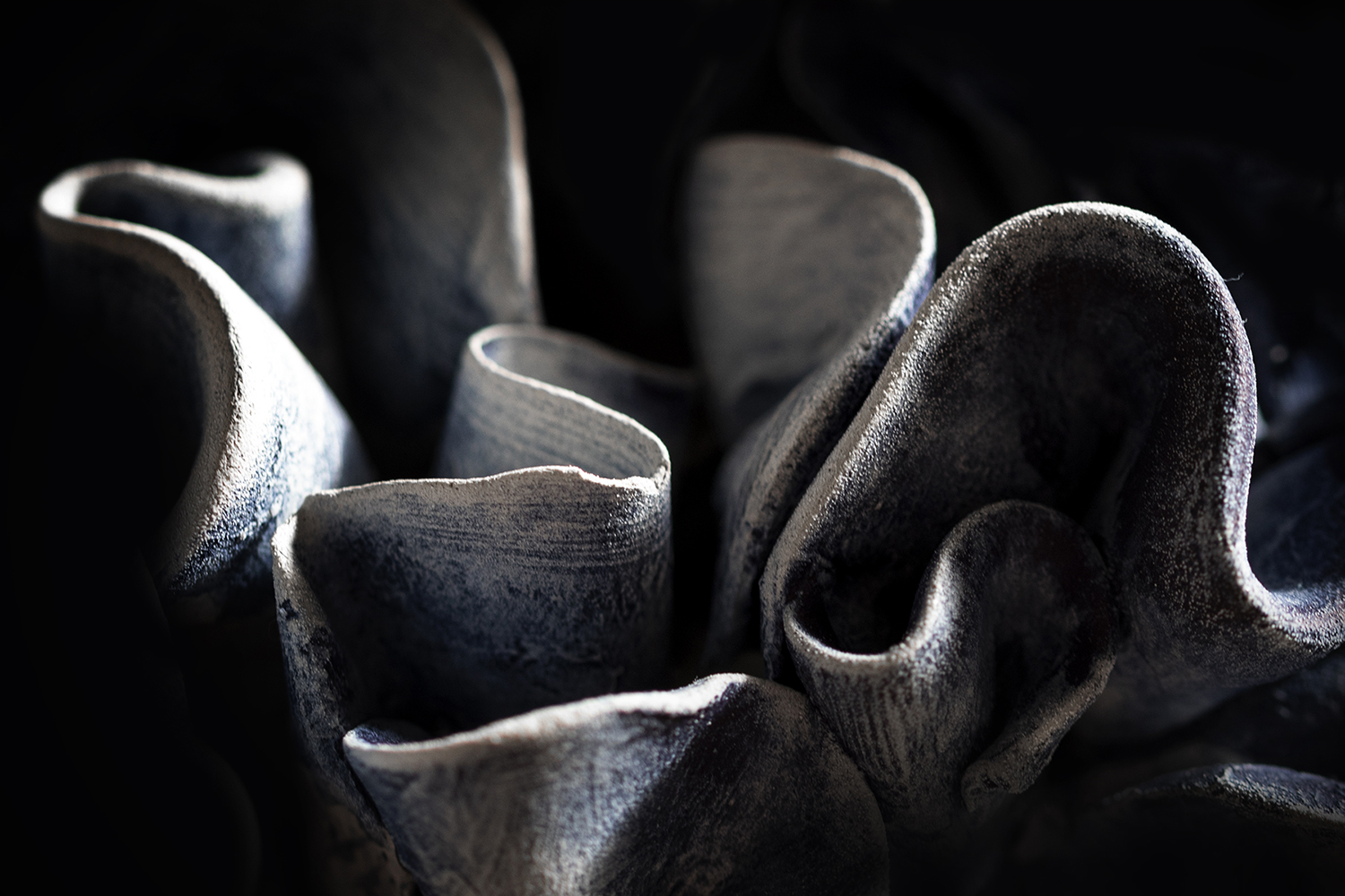 Photographie par Aurélie Rivière, photographe professionnelle à l'Ile de la Réunion