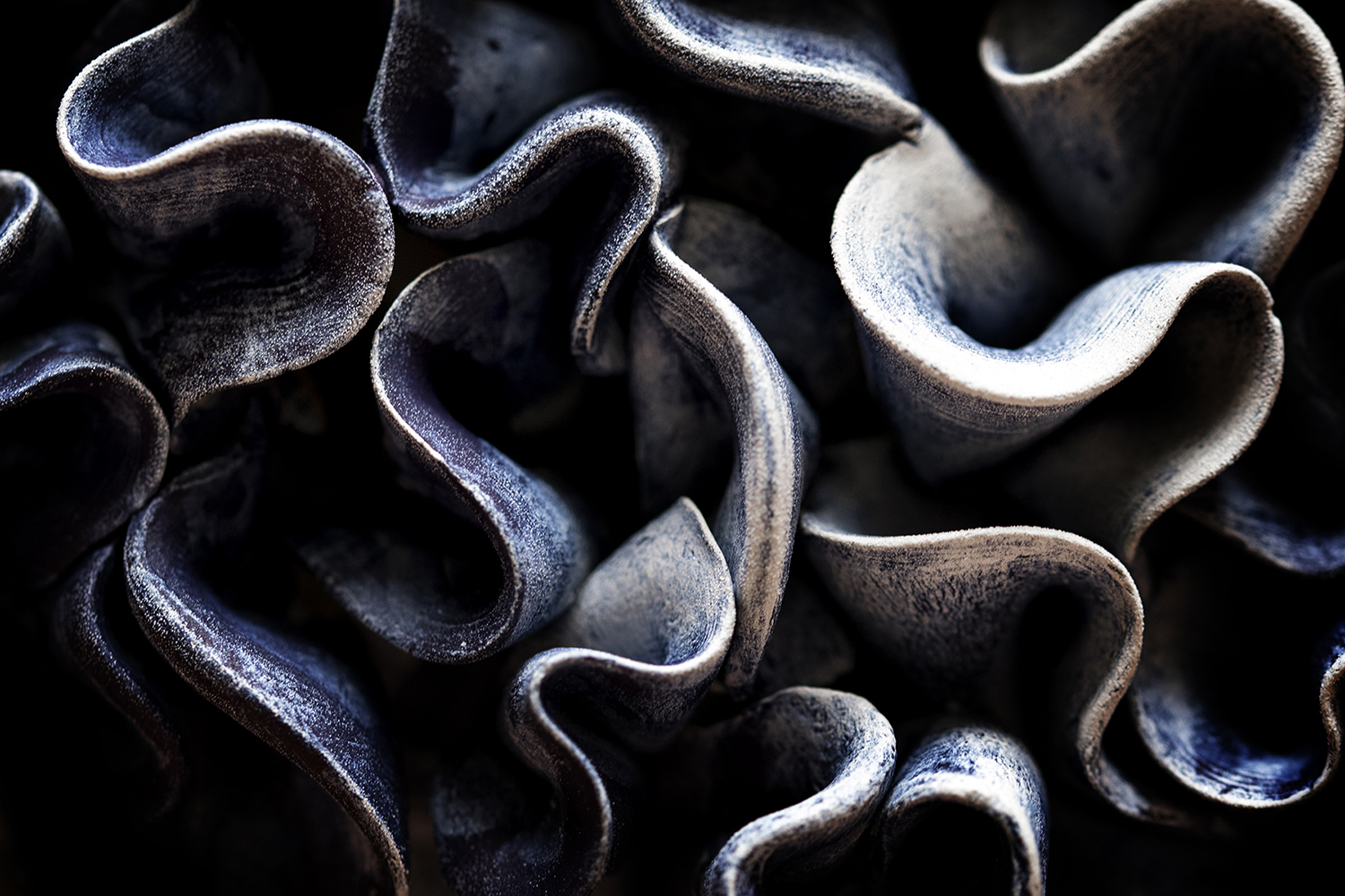 Photographie par Aurélie Rivière, photographe professionnelle à l'Ile de la Réunion