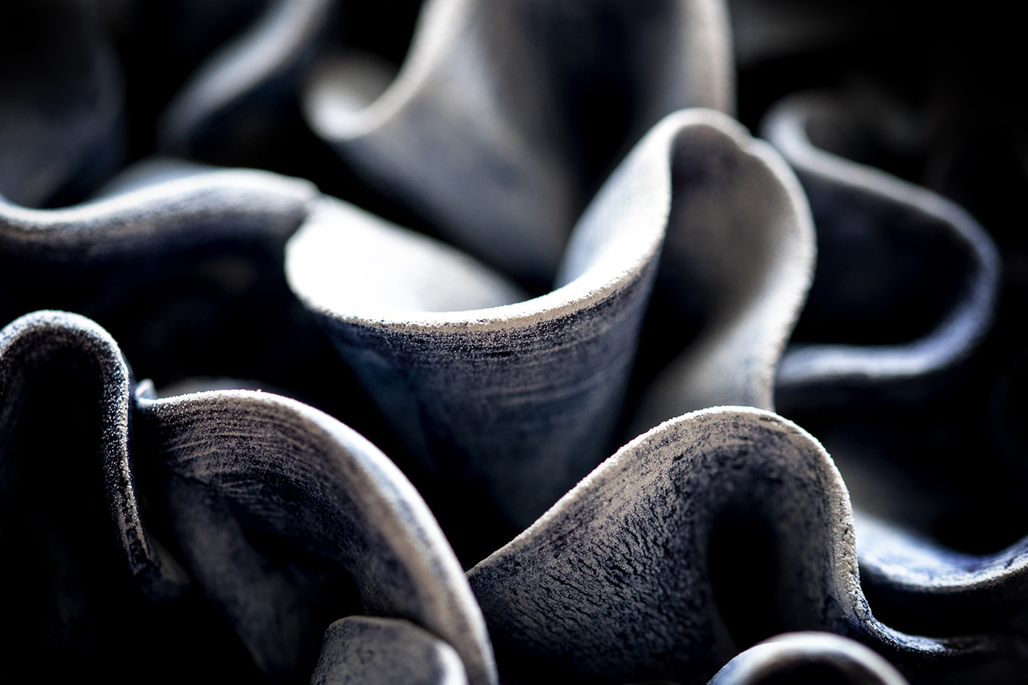 Photographie par Aurélie Rivière, photographe professionnelle à l'Ile de la Réunion