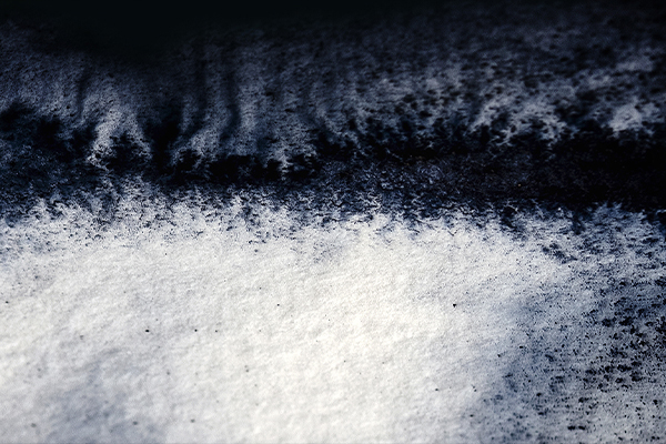 Photographie par Aurélie Rivière, photographe professionnelle à l'Ile de la Réunion