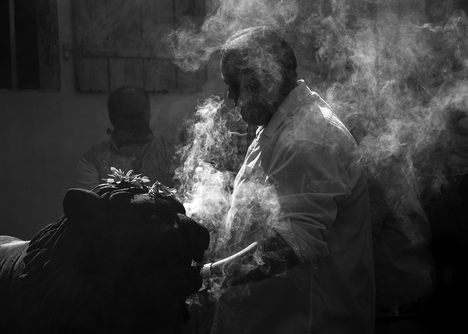 Photographie par Aurélie Rivière, photographe professionnelle à l'Ile de la Réunion