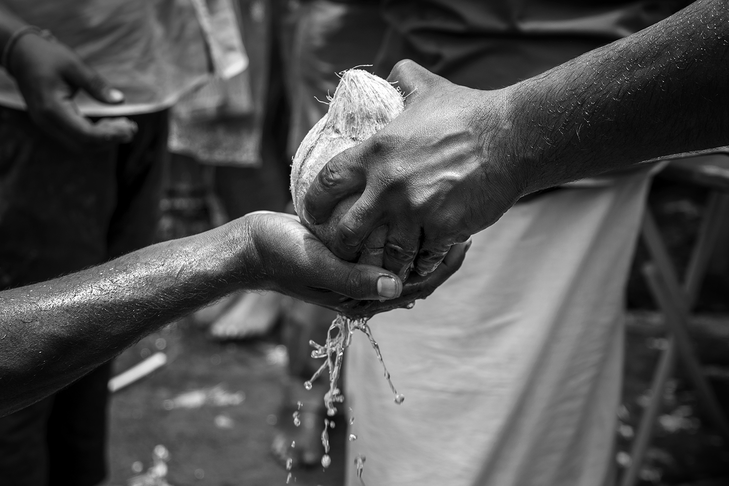 Photographie par Aurélie Rivière, photographe professionnelle à l'Ile de la Réunion