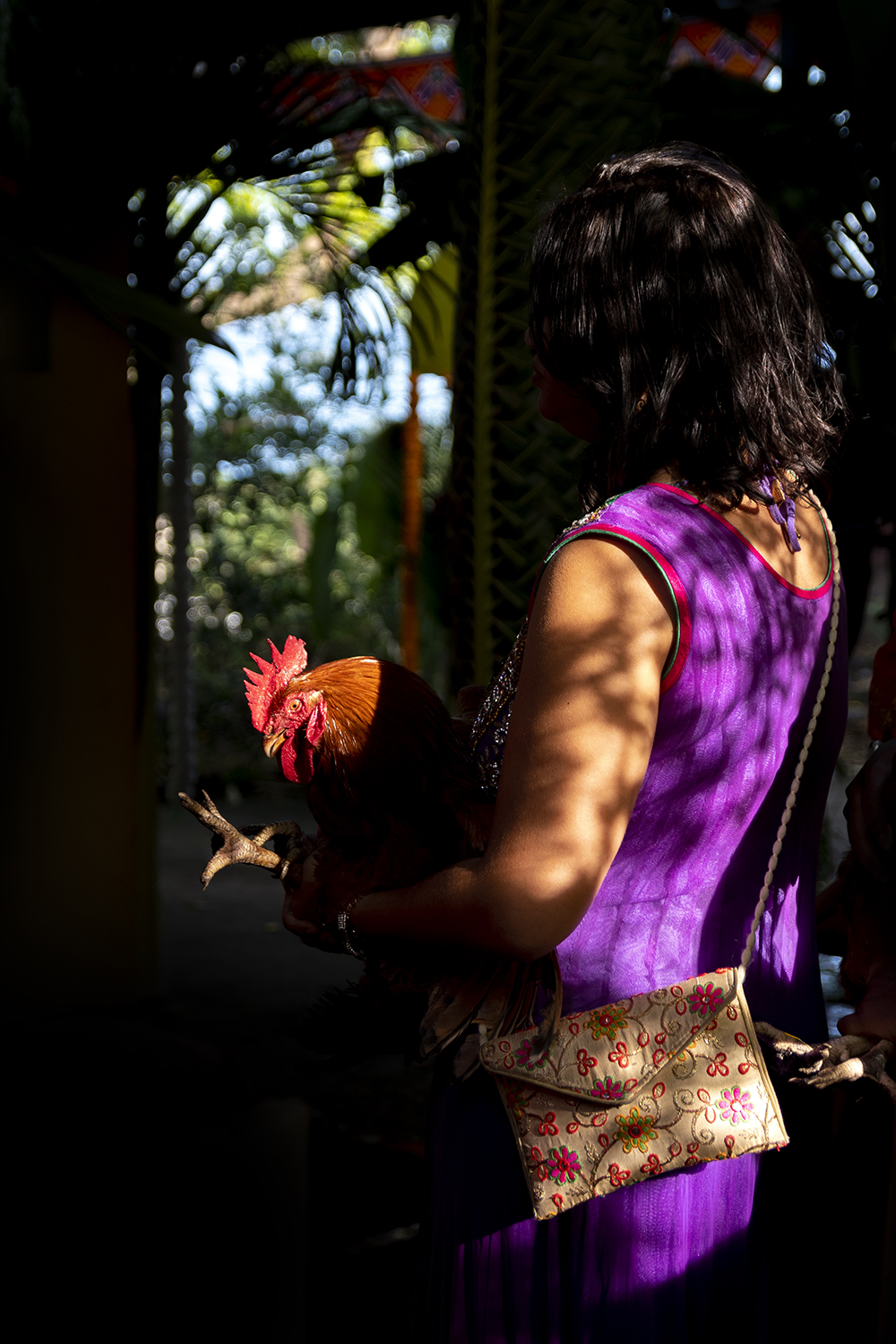 Photographie par Aurélie Rivière, photographe professionnelle à l'Ile de la Réunion